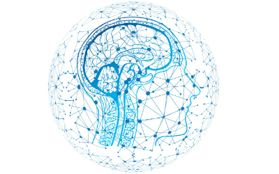 Cerebro daño cerebral